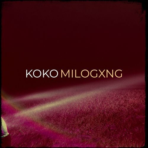 Koko cover art