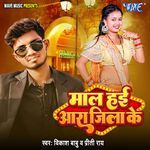 Maal Hai Ara Jila Ke