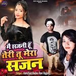 Me Sajni Hu Teri Tu Mera Sajan