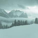 Meditation Musi When You Want to Rest