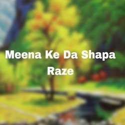 Meena Ke Da Shapa Raze