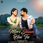 Meri Jaan Hai Tu