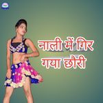 Nali Me Gir Gaya Chhori