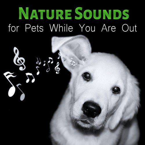 Nature Sounds for Pets While You Are Out - Mellow Music and Calming Down Nature Sounds to Relax Your Dog & Cat When They Are Alone at Home, Soft Melodies for Puppies & Kittens