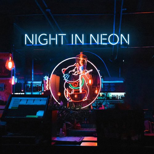 Night in neon_poster_image