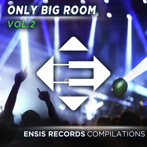 Only Big Room - Vol. 2