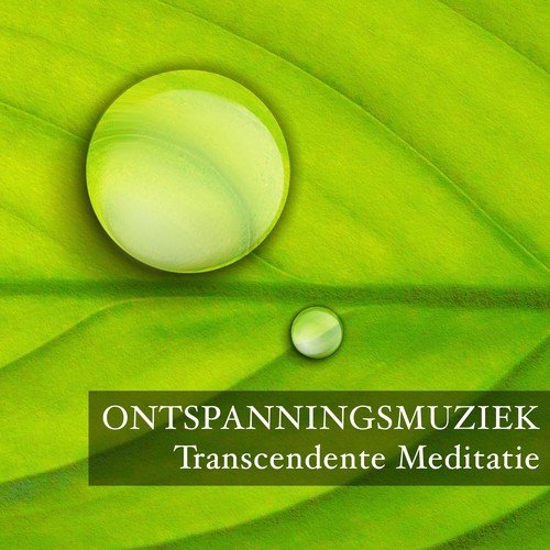 Rustgevende Muziek Dream Masters cover art