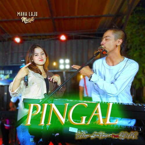 Pingal_poster_image