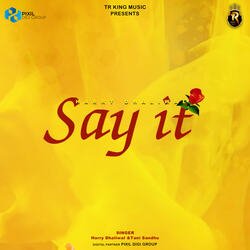 Say It-HBIIBB8BWng