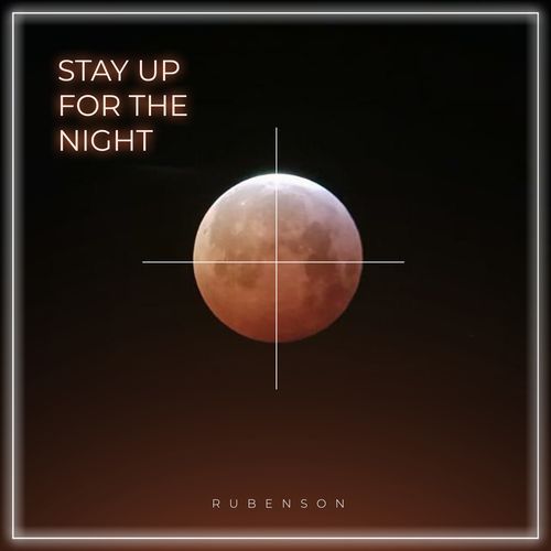 Stay Up For The Night_poster_image