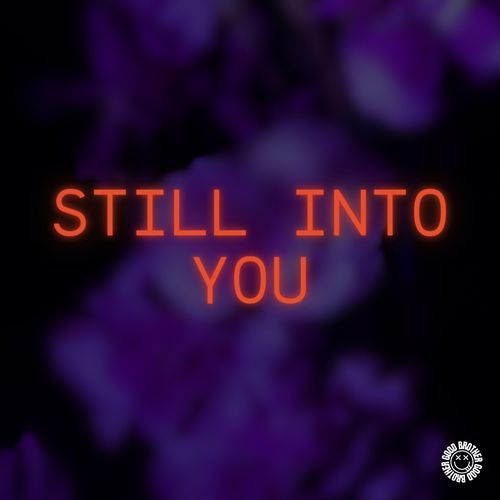 Still Into You