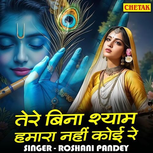 Tere Bina Shyam Hamara Nahi Koi Re