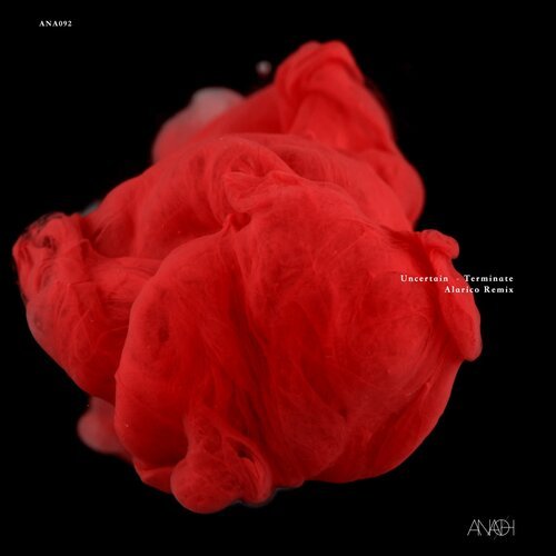 Terminate (Alarico Remix) cover art