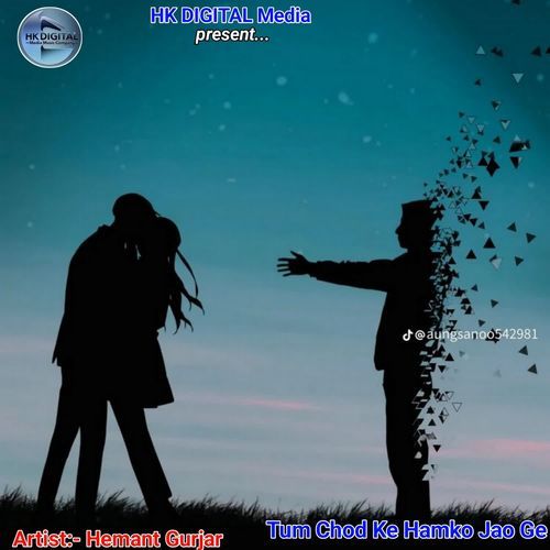 Tu Chod Ke Hamko Jao Ge
