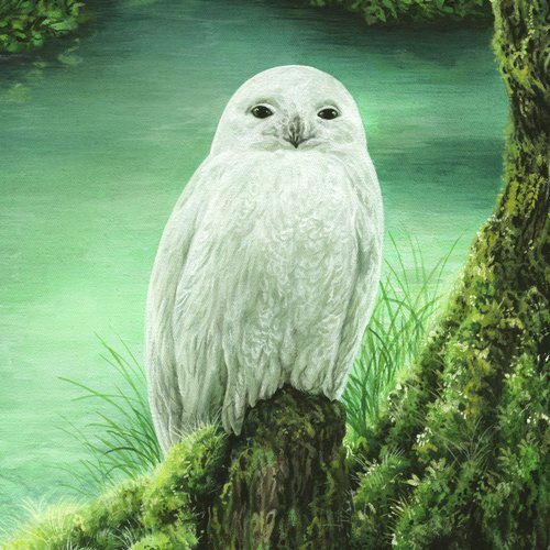 Whiite Owl_poster_image