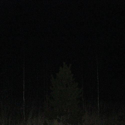 are you okay cover art