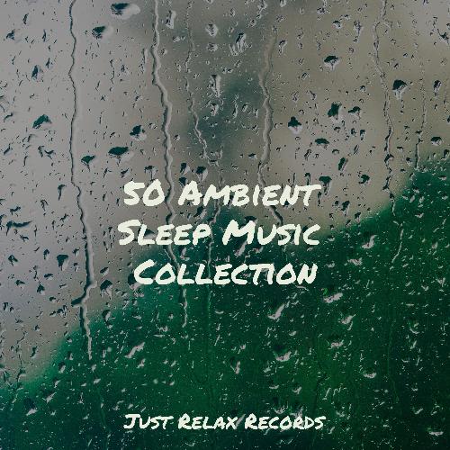 50 Ambient Sleep Music Collection