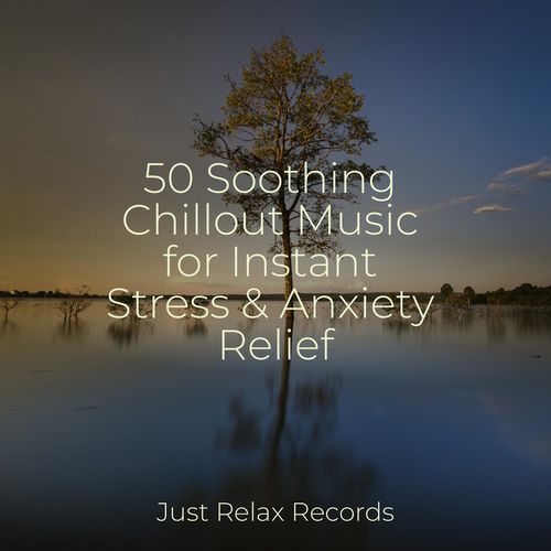 50 Soothing Chillout Music for Instant Stress & Anxiety Relief