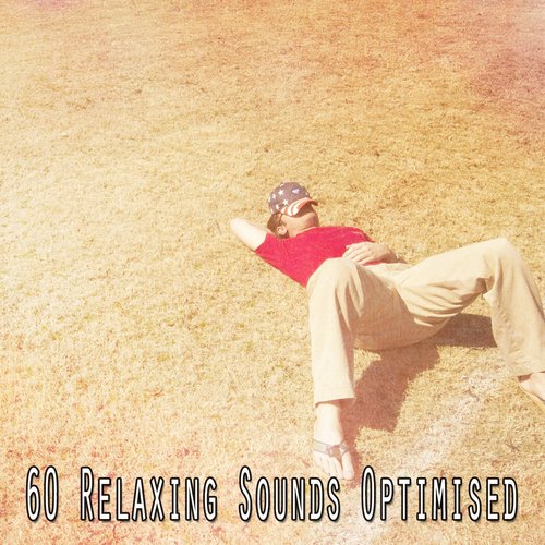 60 Relaxing Sounds Optimised