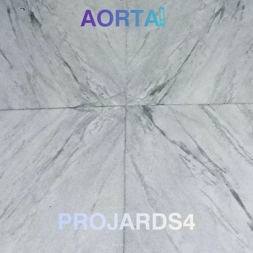 AORTA!