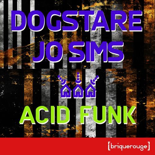 Acid Funk (Robin Meure's Chilled Acid Mix) cover art