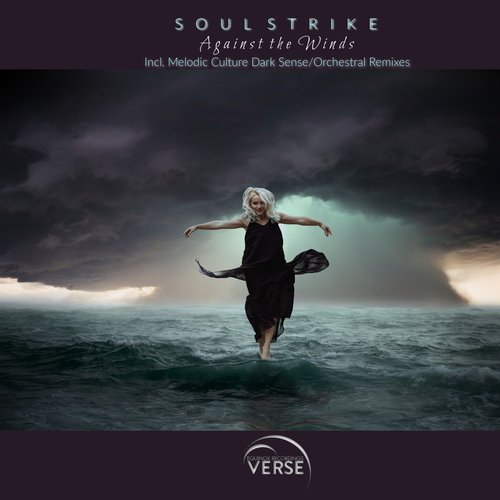 Against The Winds (Melodic Culture  Orchestral Remix) cover art