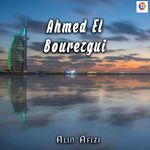 Ahmed El Bourezgui artwork