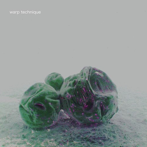 Warp Dub 5 (Fagin's Reject Remix)