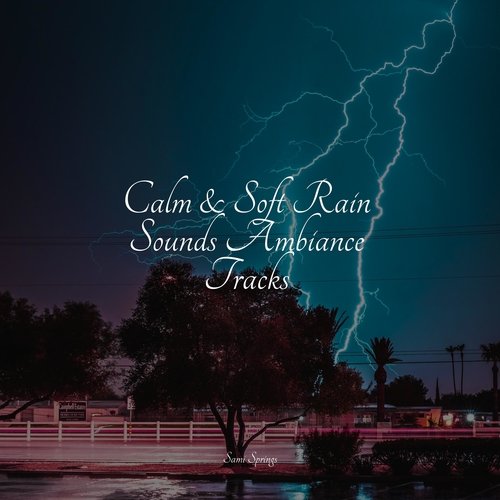 Calm &amp; Soft Rain Sounds Ambiance Tracks_poster_image