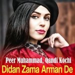 Didan Zama Arman De
