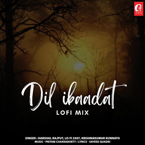 Dil Ibaadat Lofi Mix