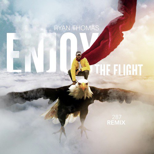 Enjoy the Flight (287 Remix)