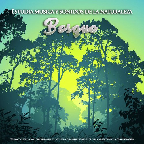 Musica pacifica cover art