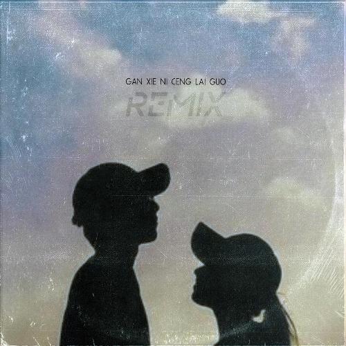 Gan Xie Ni Ceng Lai Guo (Remix) cover art