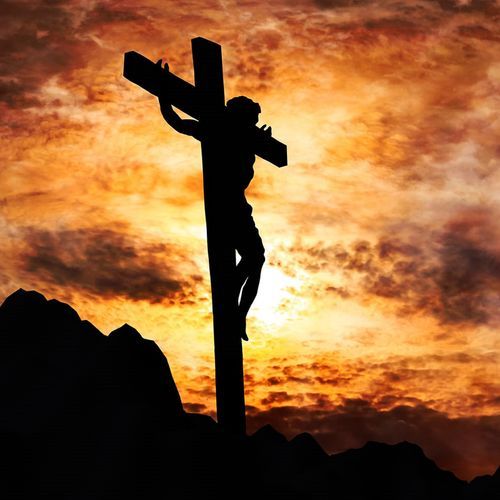 Thappipoyina Gorrenu Nenu