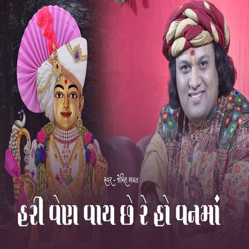 Hari Ven Vay Chhe Re Ho Vanma