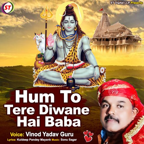 Hum To Tere Diwane Hai Baba