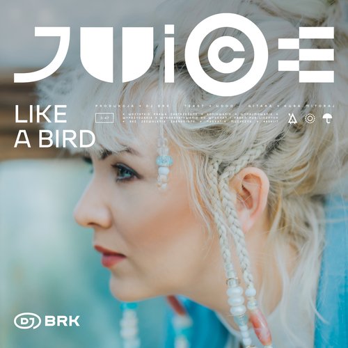 Like A Bird_poster_image