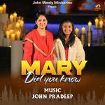Mary Did You Know