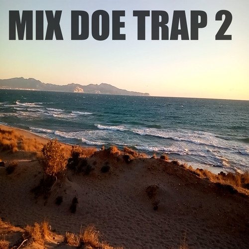 Mix Doe Trap 2