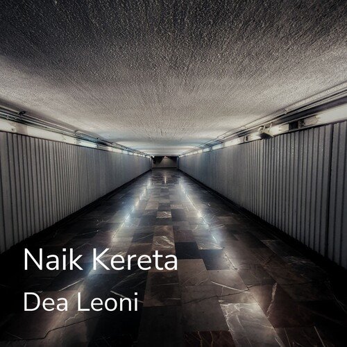 Naik Kereta