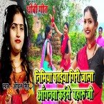 Nimiya Pataiya Giri Jala Anganwa Kaise Baharu Ji