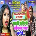 Sali Kamini Kaun Sa Nasa Karele