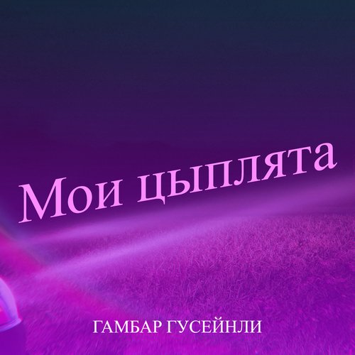 Мои цыплята