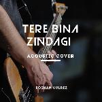 Tere Bina Zindagi (Acoustic Cover)