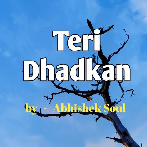 Teri Dhadkan