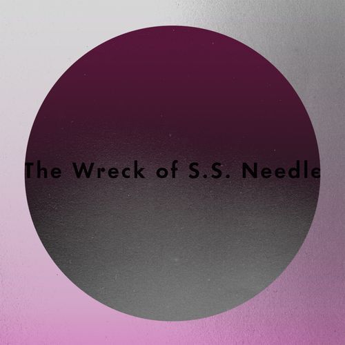 The Wreck of S.S. Needle_poster_image