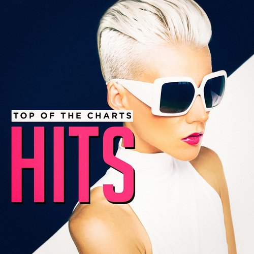 Top of the Charts Hits_poster_image