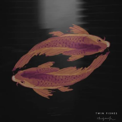 Twin Fishes cover art