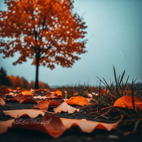 The Space Between
